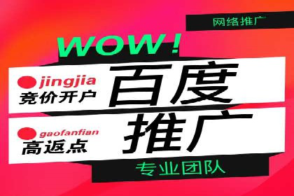 百度广告投放技巧：案例解析助力品牌增长